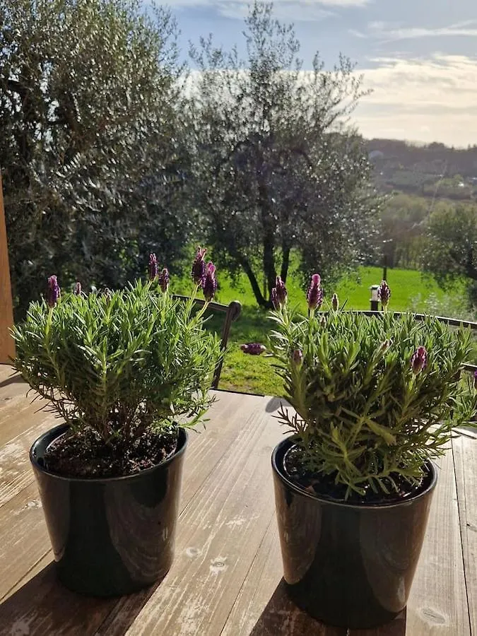 Panorama E Relax Apartman Peccioli 0*,  Olaszország
